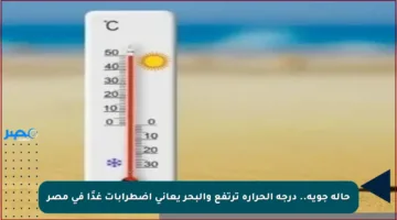 حالة جوية.. درجة الحرارة ترتفع والبحر يعاني اضطرابات غدًا في مصر